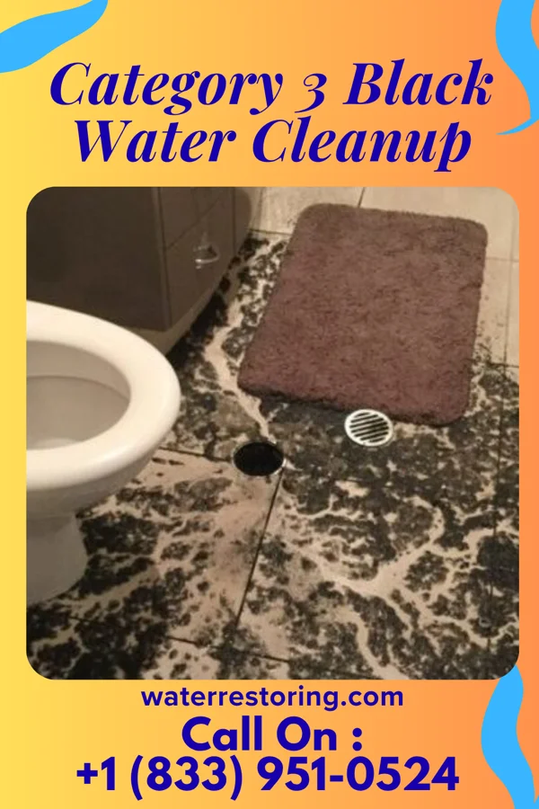 Category 3 Black Water Cleanup in Hills, MN