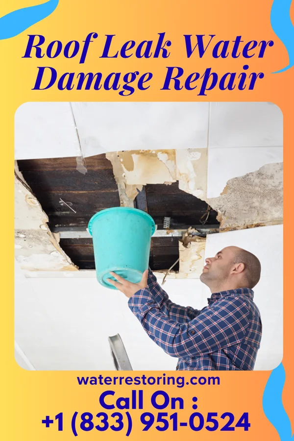 Roof Leak Water Damage Repair in Hills, MN