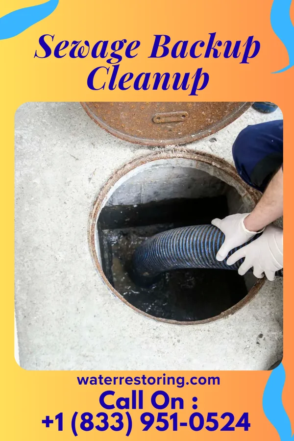Sewage Backup Cleanup in Hills, MN